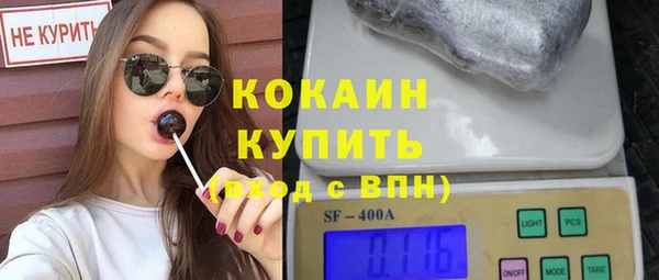 индика Инта
